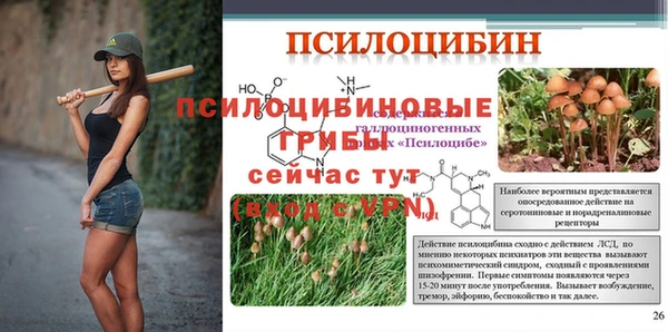 спиды Карпинск