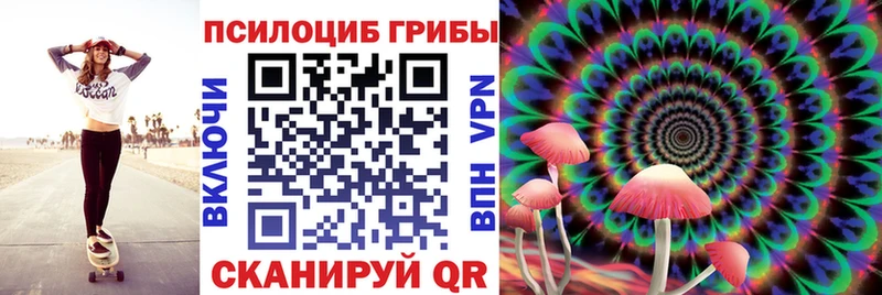 Купить  Ермолино  Псилоцибиновые грибы прущие грибы 
